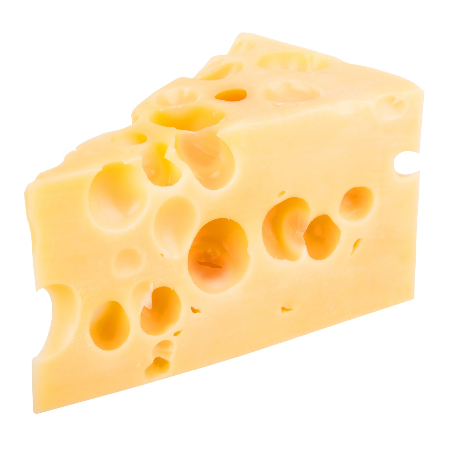 Swiss Cheese - Ecosystem Marketplace