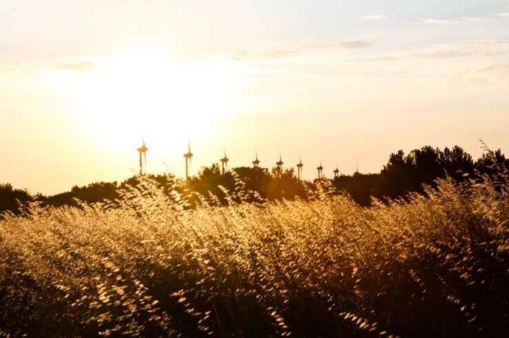 <i>Commentary</i></br>How Carbon Markets Can Serve as a Catalyst  to a Low-carbon, Green Economy