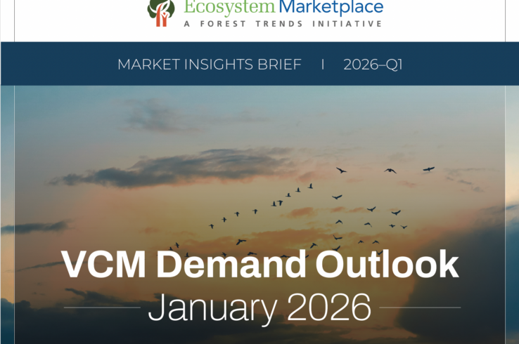 VCM Demand Outlook in 2026