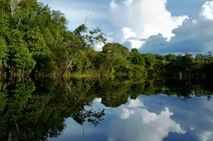 How Complementary Forest Finance Mechanisms Can Promote Tropical Forest Protection