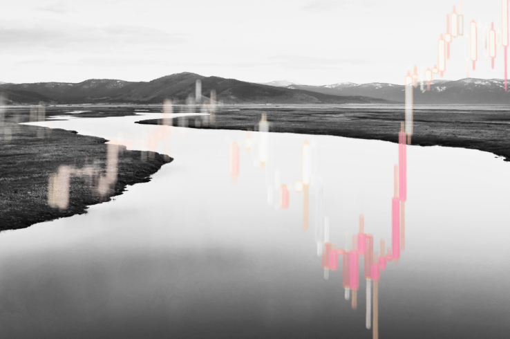 <i>Commentary</i></br>Which nature investments pay off? Here’s what a decade of data says